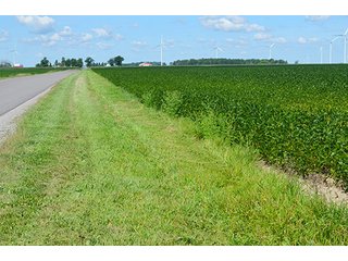 Property photo 3 - 233 +/- Acres Offered in 3 Tracts, Ohio Land Auction